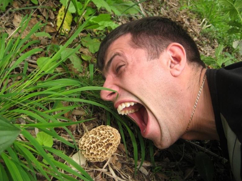 Чел под грибами