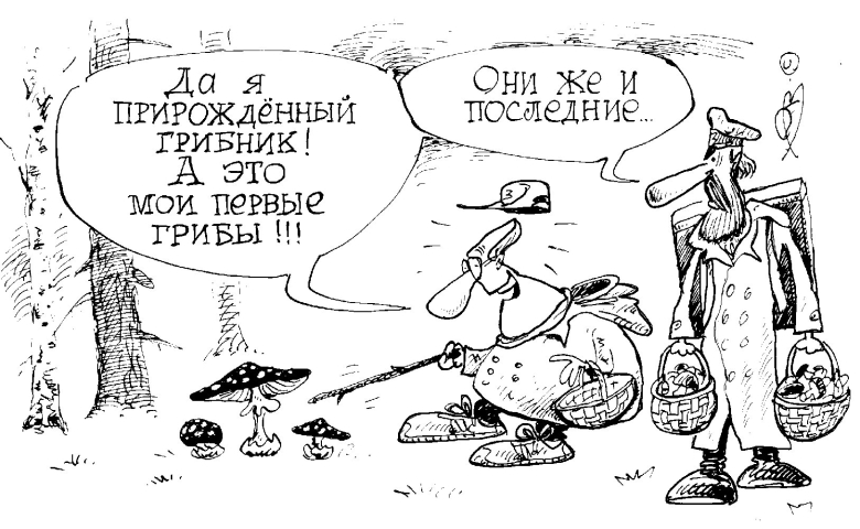 Анекдоты про грибников