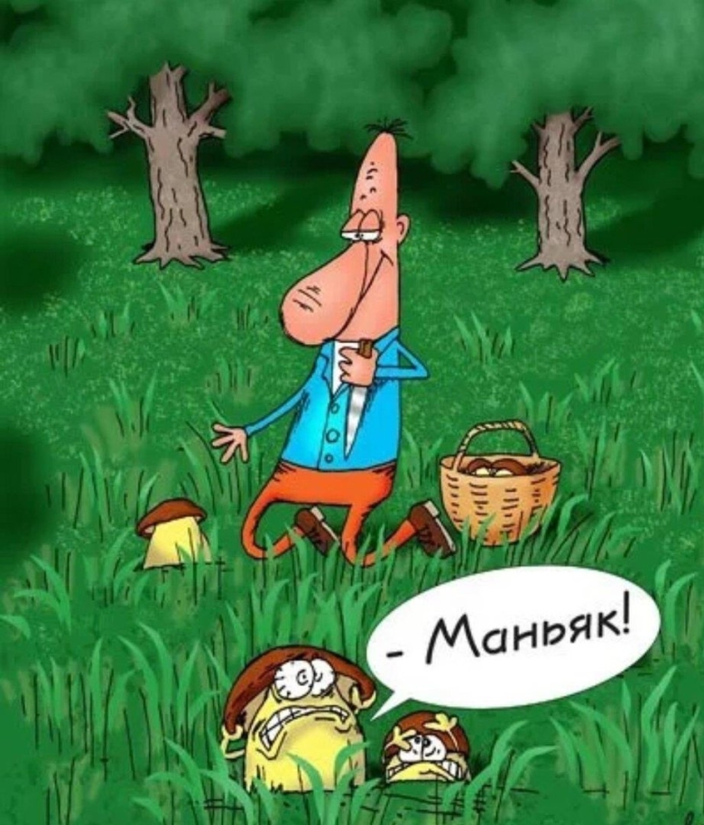 Карикатуры про грибы и грибников