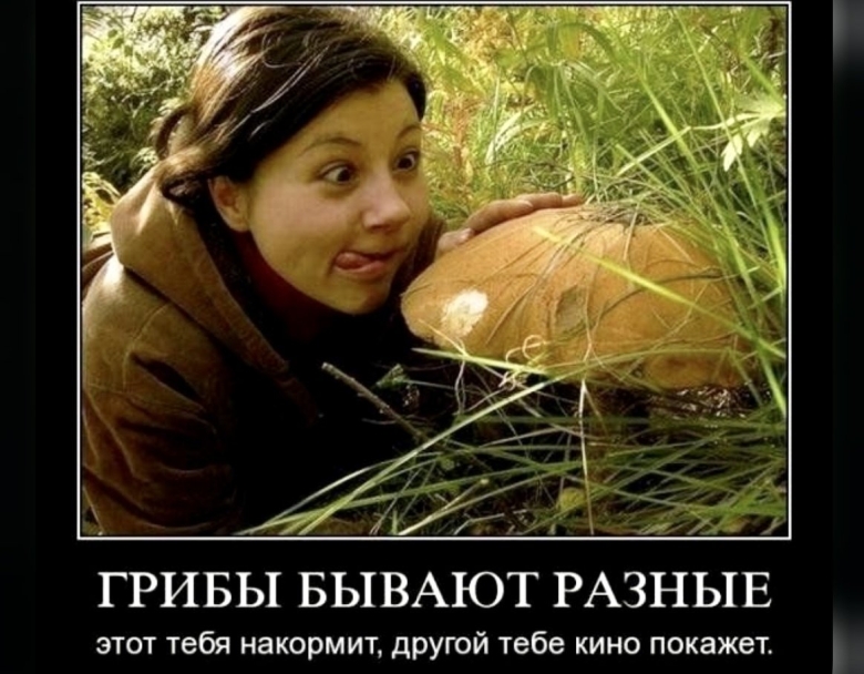 Грибные приколы