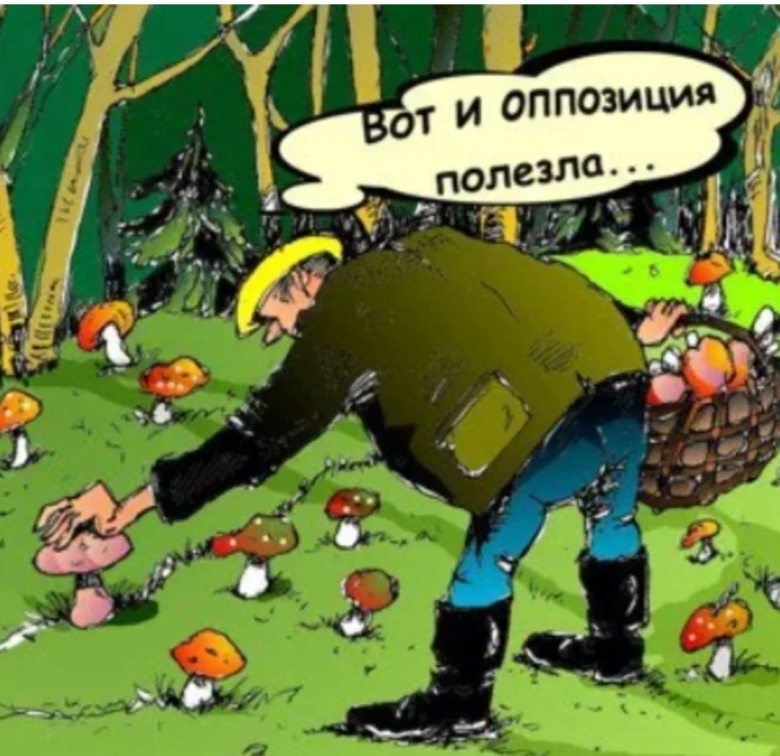 Смешные картинки про грибников