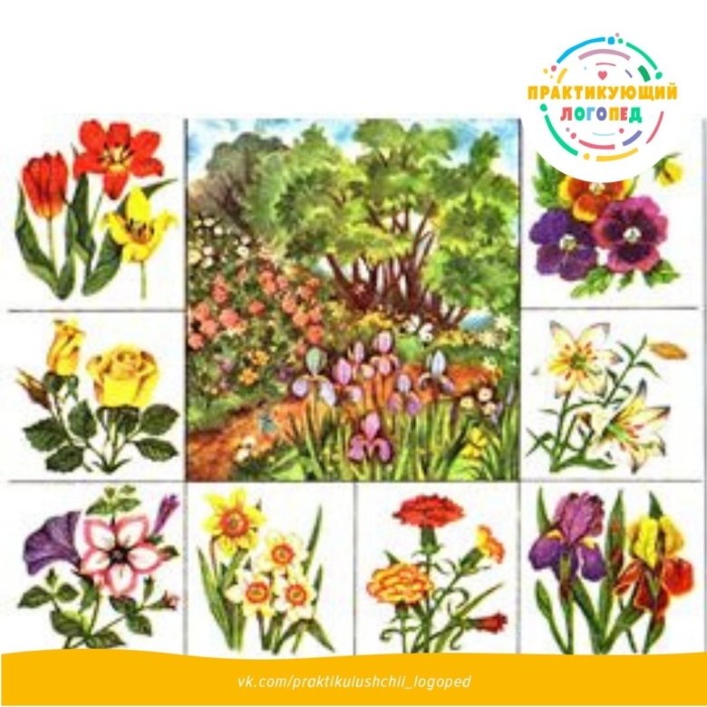 Лото луговые полевые садовые цветы