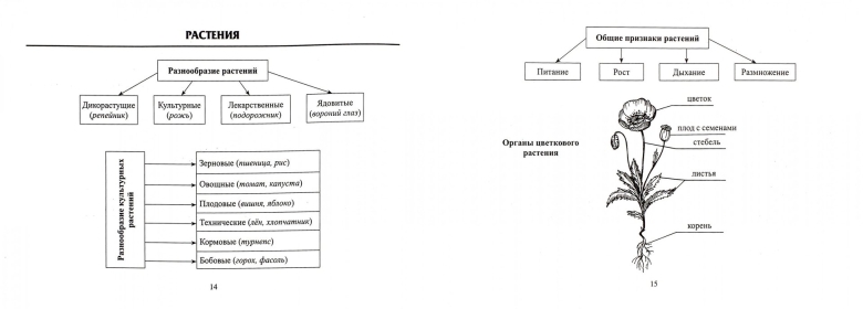 Памятки по окружающему миру