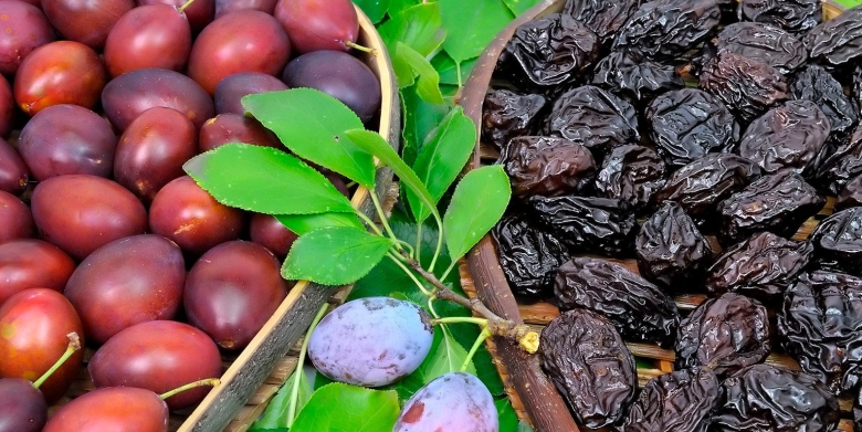 Слива чернослив адыгейский