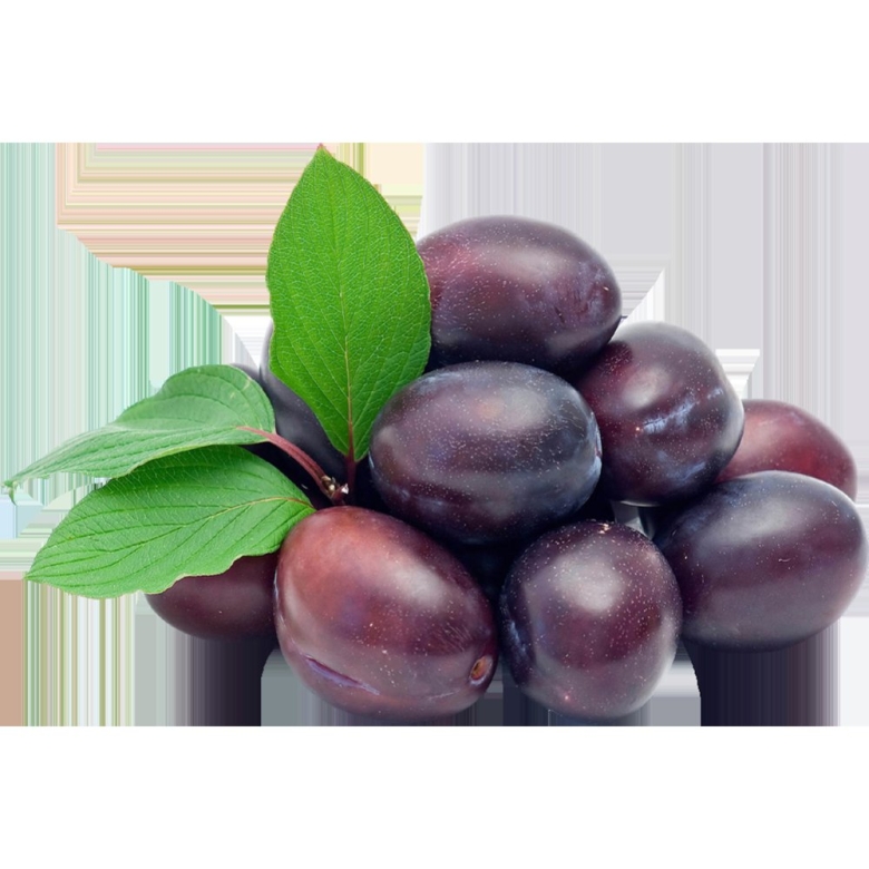 Слива на белом фоне