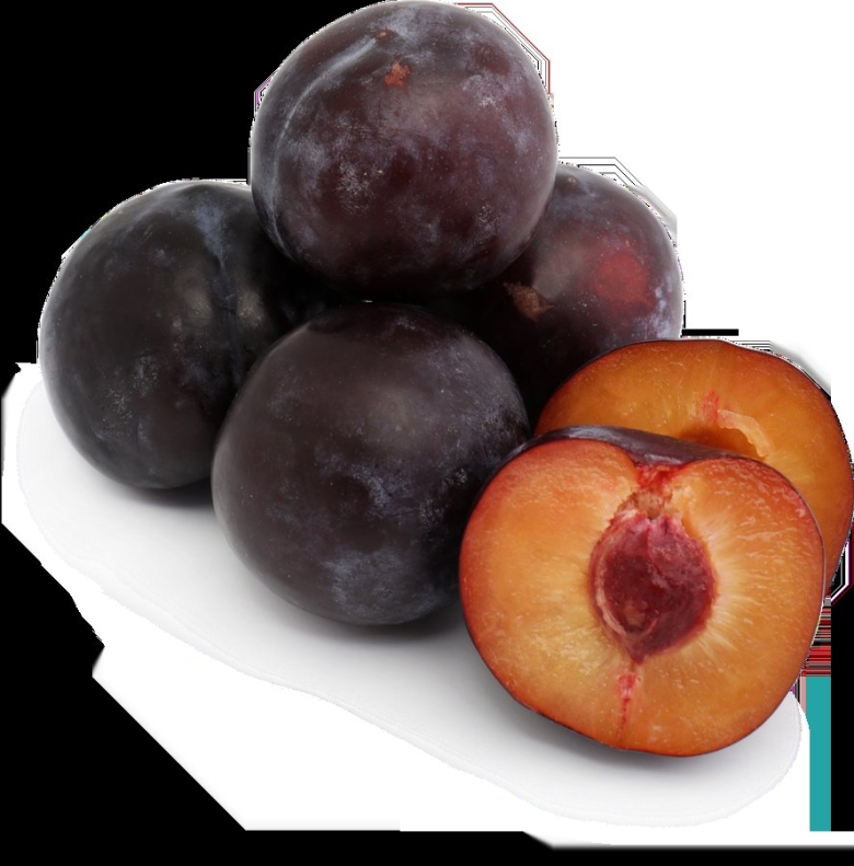 Слива круглая