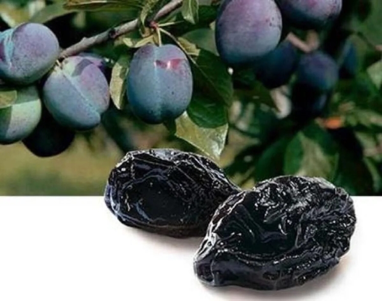 Чернослив с косточкой