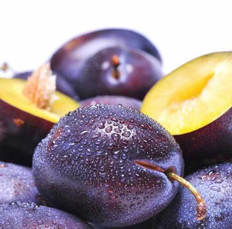 Слива это ягода или фрукт