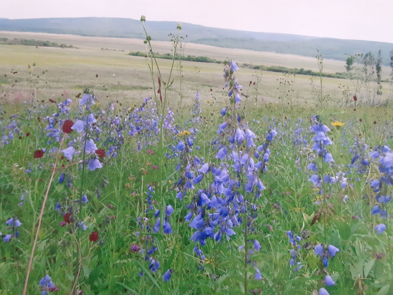 Приаргунск Забайкалье