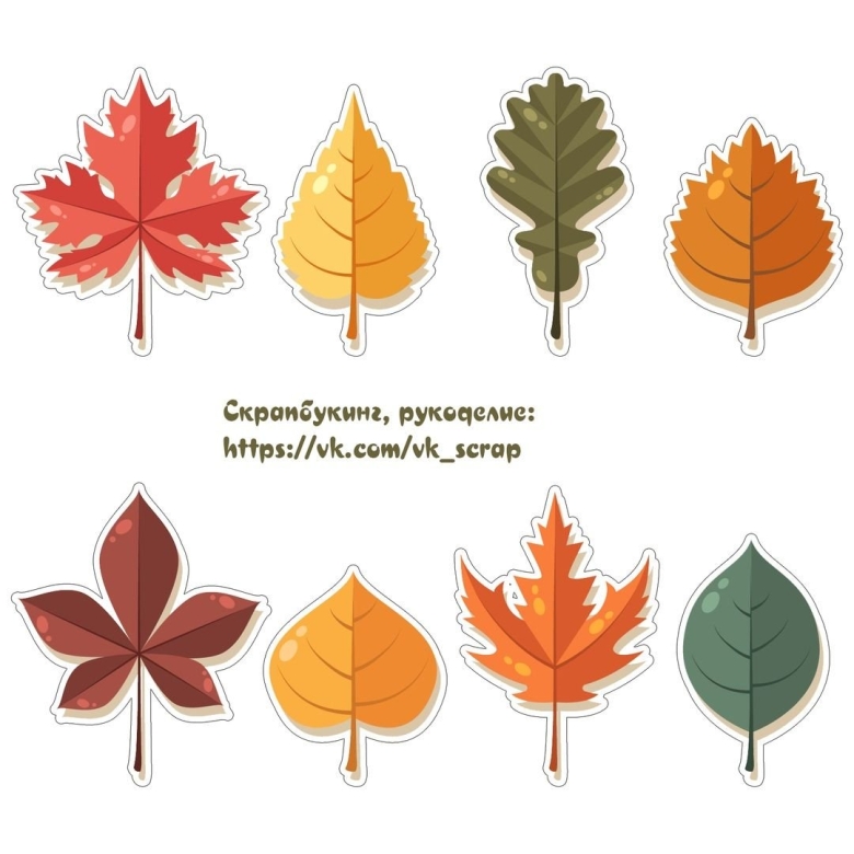 Листики разных деревьев