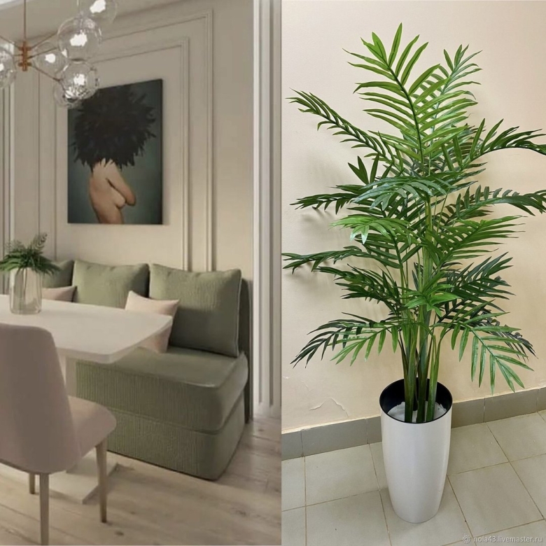 Хризалидокарпус Lechuza