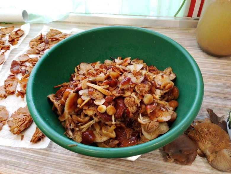 Маринованные грибы