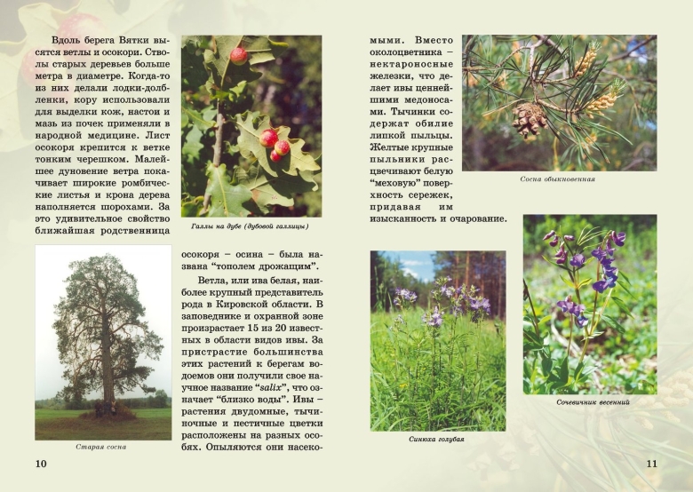 Буклет Кировская область заповедник Нургуш