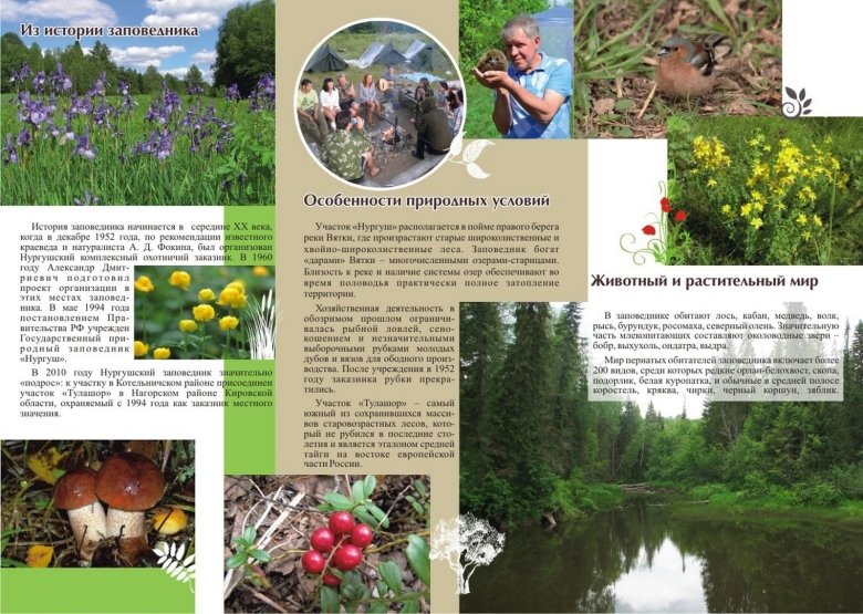 Нургушский заповедник Кировской области для детей