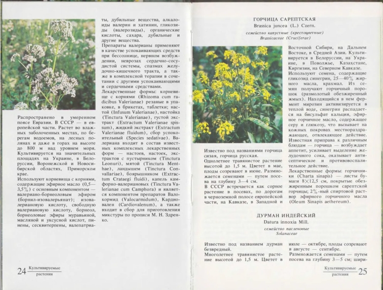 Энциклопедия лекарственных трав и растений