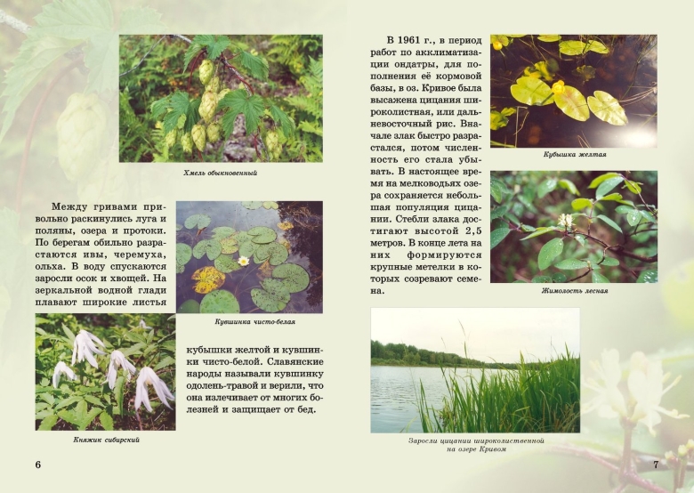 Буклет Кировская область заповедник Нургуш