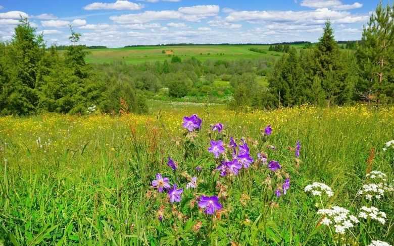 Луг удмуртия