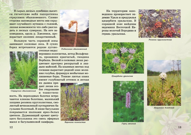 Буклет Кировская область заповедник Нургуш