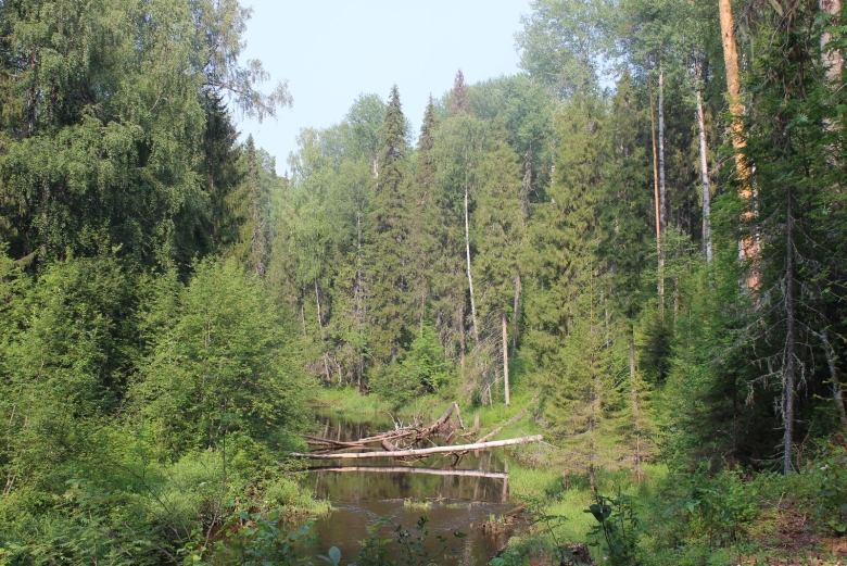 Заповедник Нургуш и Тулашор
