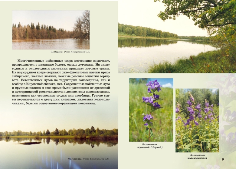 Заповедник Нургуш в Кировской области проект