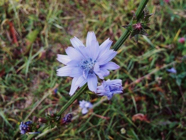 Заповедник Нургуш