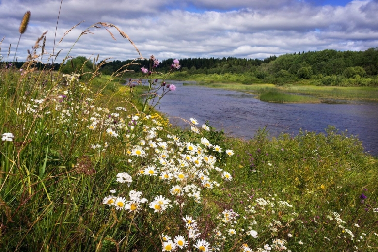 Луга пермского края
