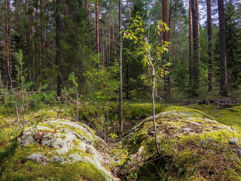 Заповедник Нургуш и Тулашор