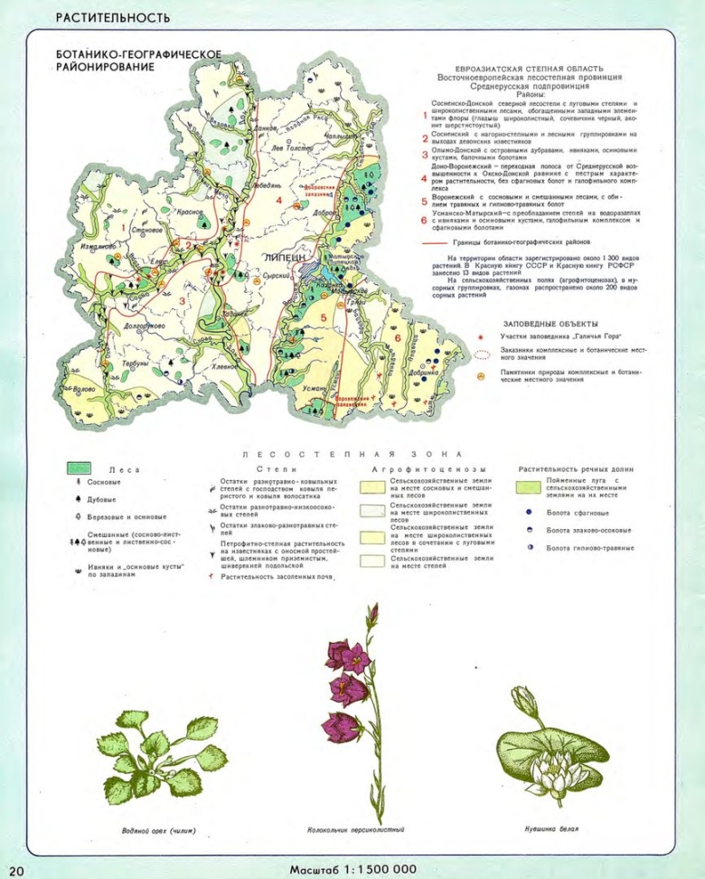 Заповедник галичья гора в липецкой области на карте