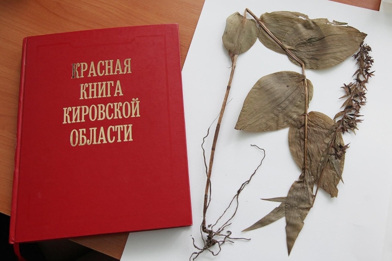 Красная книга кировской области