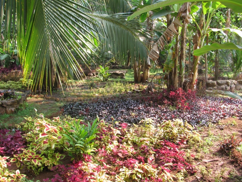 Плантация специй Сахакари