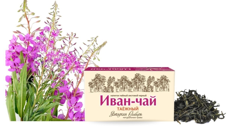 Иван чай узколистный рисунок