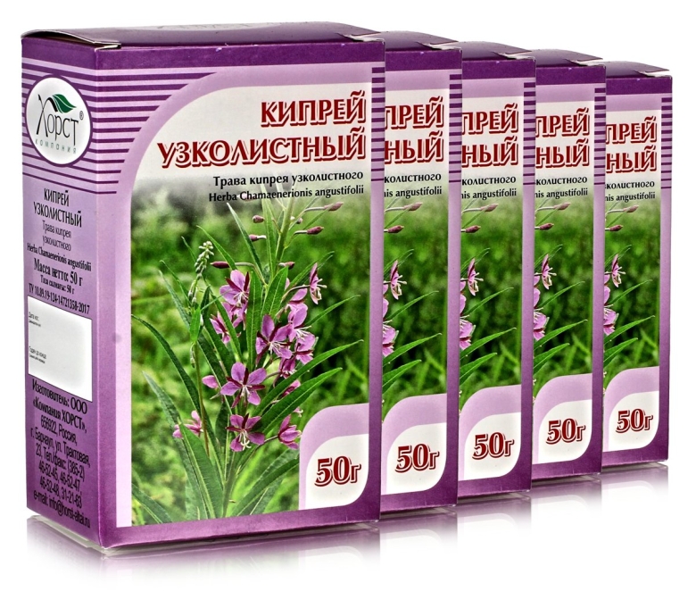 Аптечная кипрей узколистный