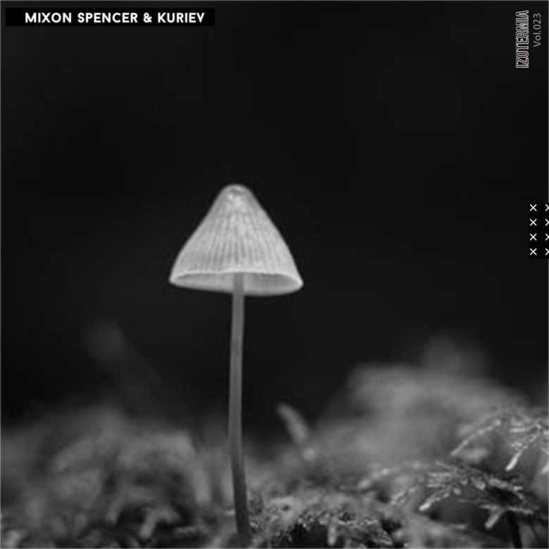 Гриб черно белый