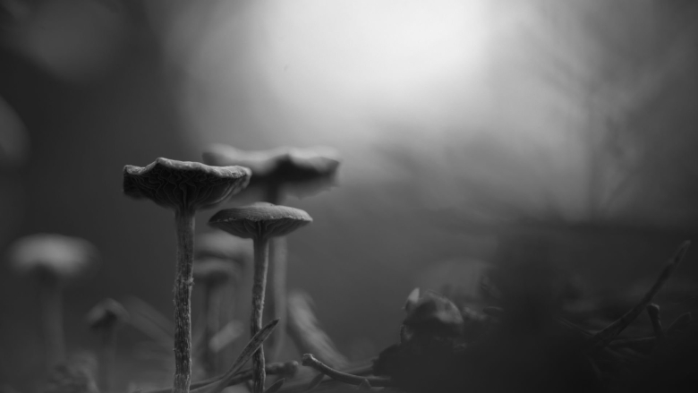 Блюр черно белый