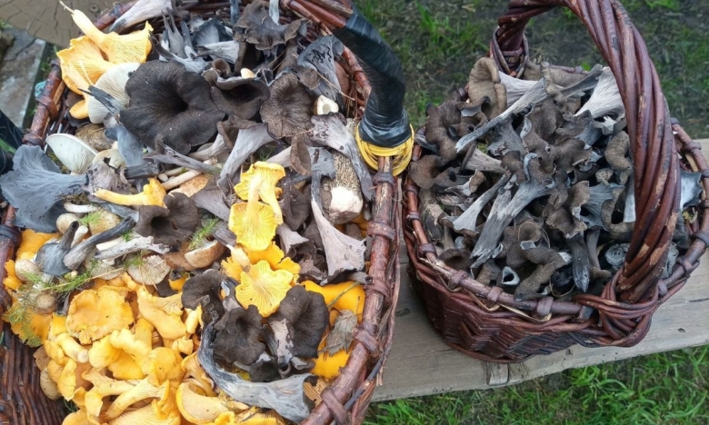 Корзиночка карельская