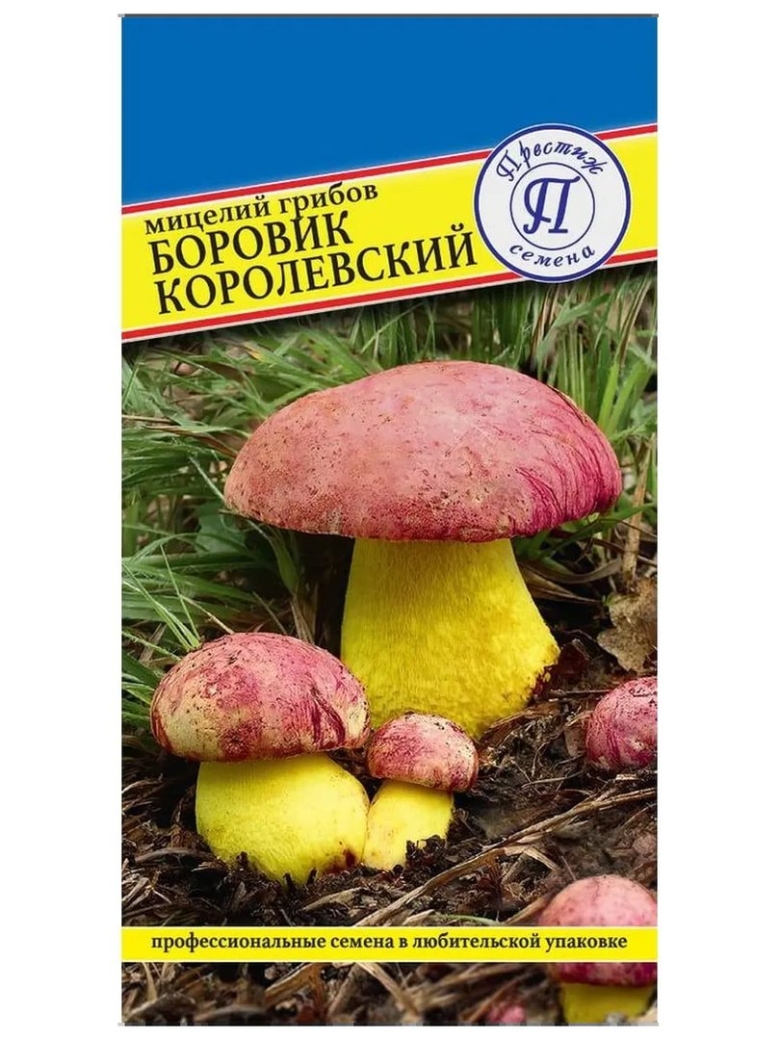 Мицелий боровик королевский