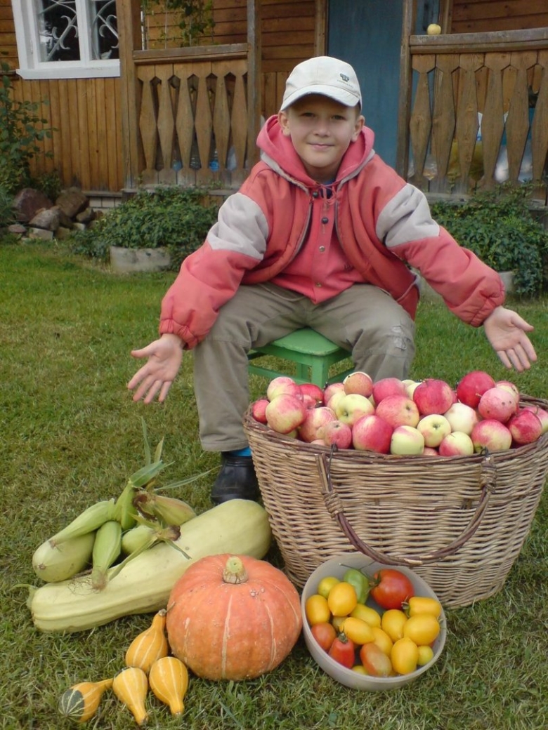 Сбор урожая на даче