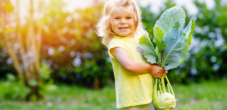 Капуста кольраби