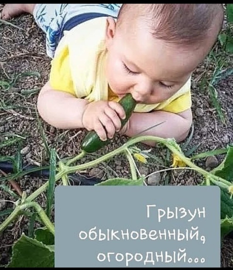 Грядка для детей