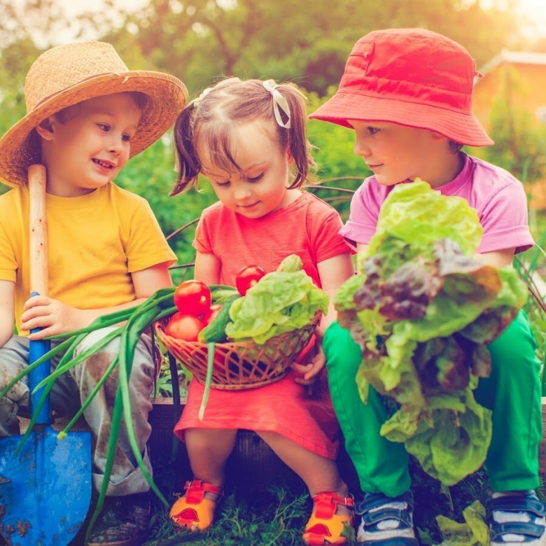 Огород для детей