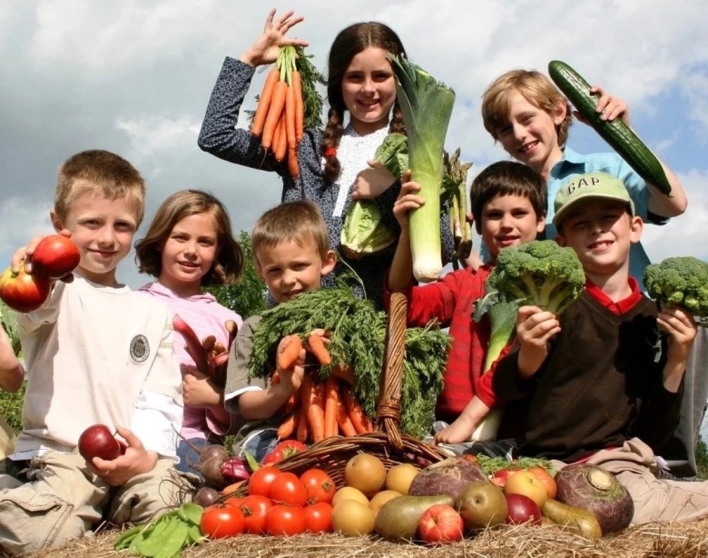 Фрукты для детей