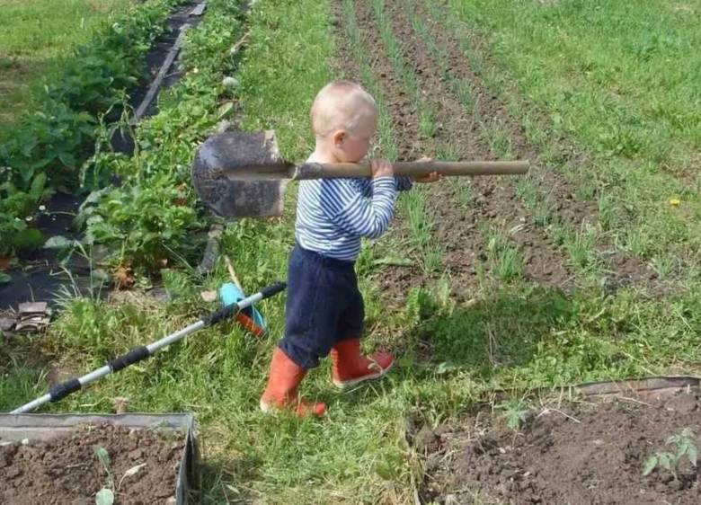 Огородники на даче