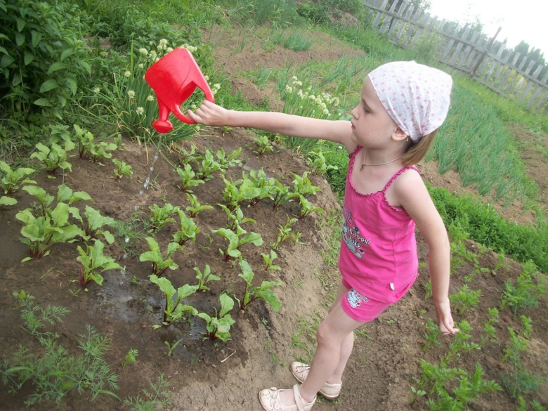 Поливать огород