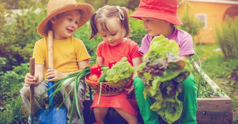 Огород для детей