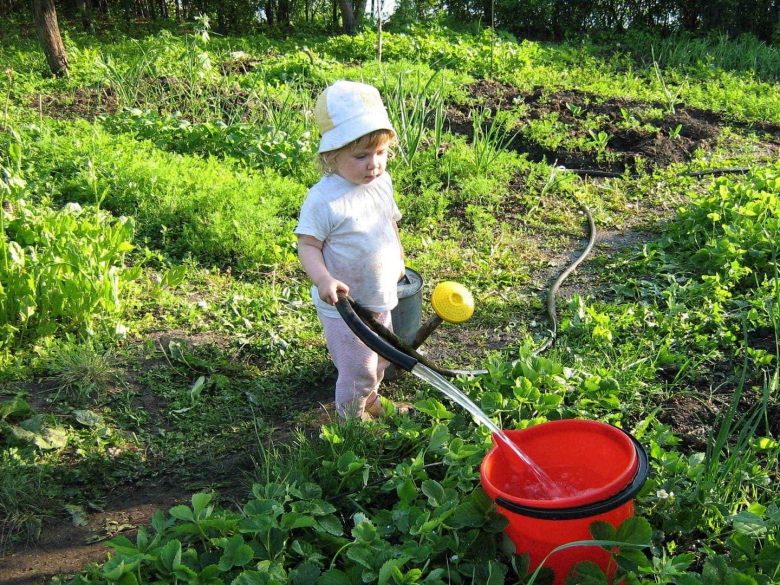 Дети помогают в огороде