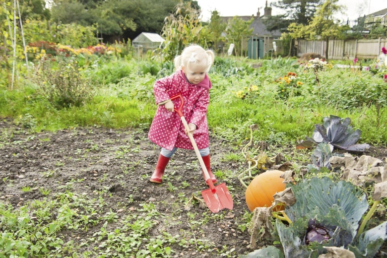 Бабушка в огороде