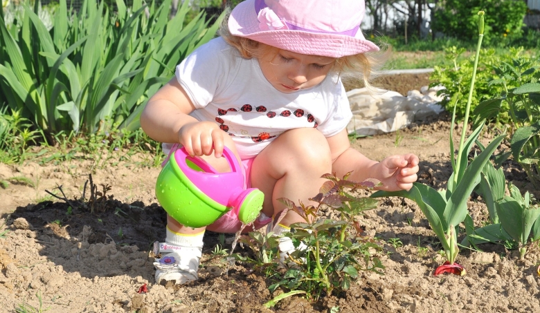 Малыши на даче