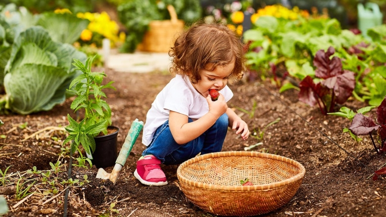 Дети в саду