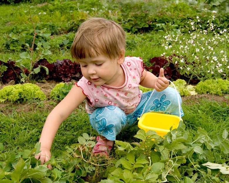 Ходьба по огороду фото