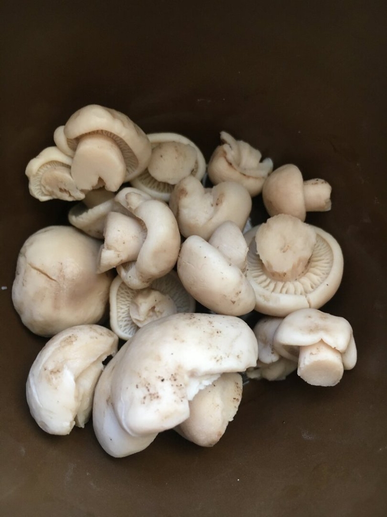 Сорта грибов